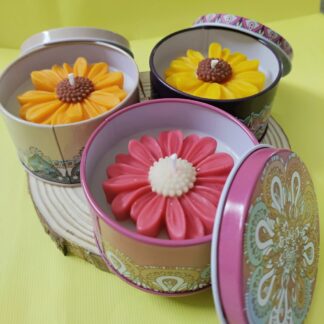 Sunflower soy candles Bavdhan Pune