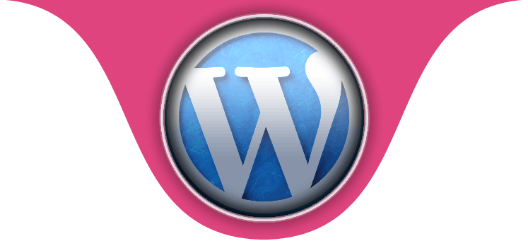 Wordpress Site Development Pune India